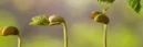 L'agence bio